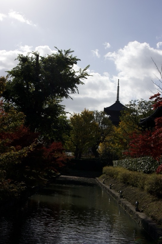 Pagoda and autumn foliage, Kyoto