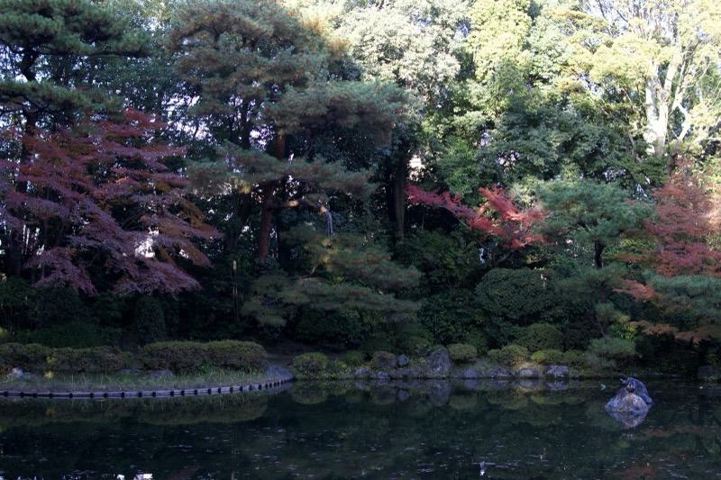 Japanese garden pond with autumn foliage