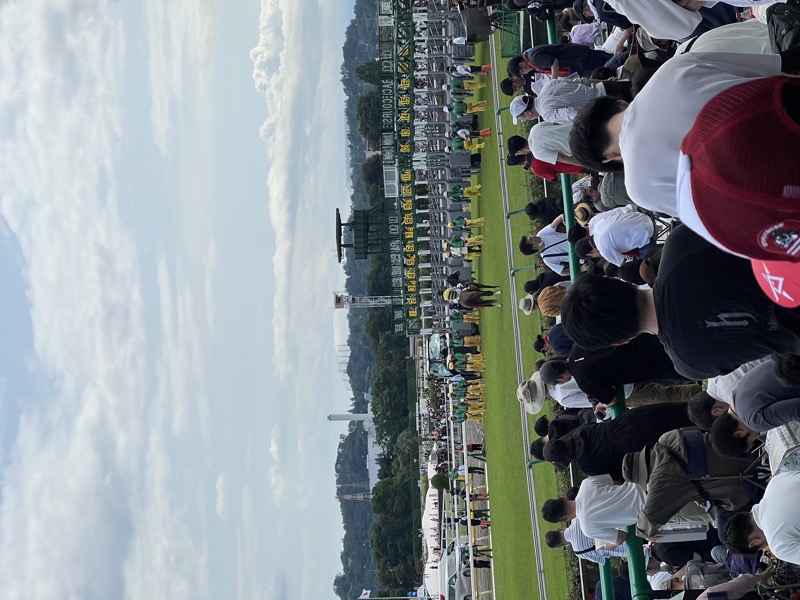 Massive crowd pressed against the rail at Tokyo Racecourse