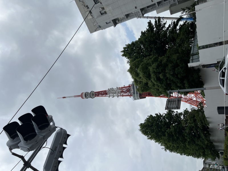 Tokyo Tower from street level, framed by trees with grey cloud sky behind