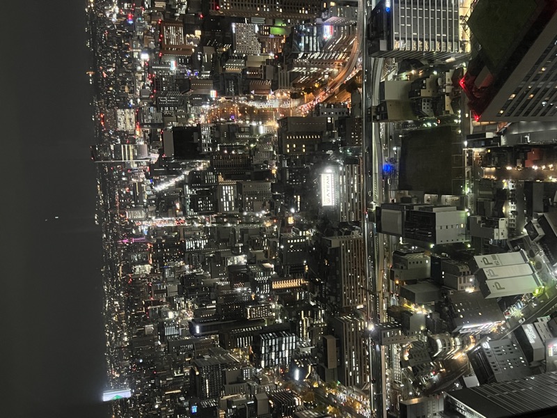 Tokyo at night from above