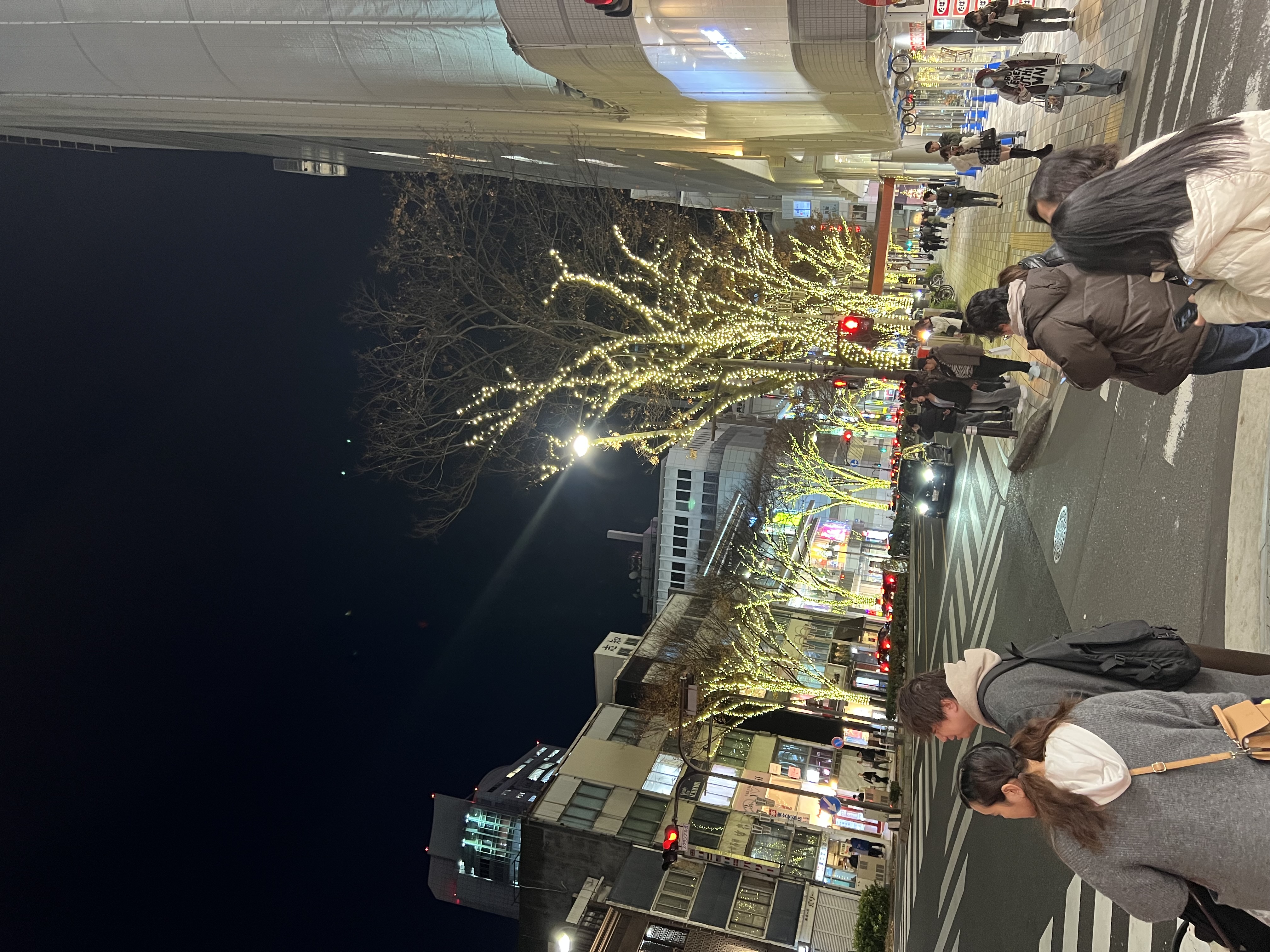 Tokyo street at night lined with illuminated trees in December