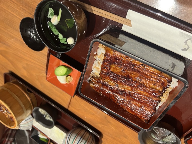 Unagi don — grilled eel rice bowl